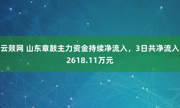 云燚网 山东章鼓主力资金持续净流入，3日共净流入2618.11万元