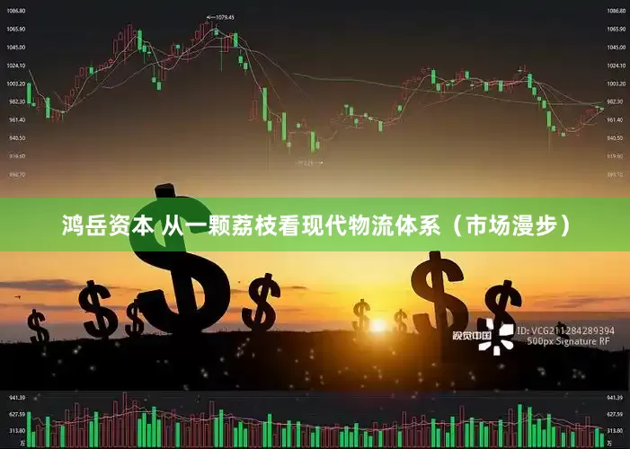 鸿岳资本 从一颗荔枝看现代物流体系（市场漫步）