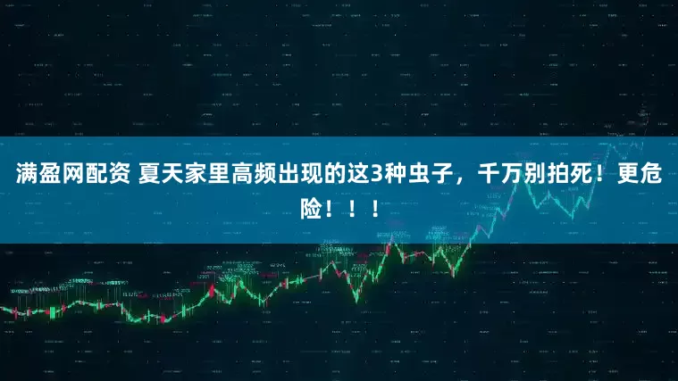 满盈网配资 夏天家里高频出现的这3种虫子，千万别拍死！更危险！！！