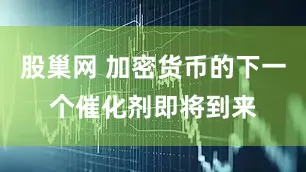 股巢网 加密货币的下一个催化剂即将到来