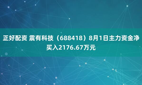 正好配资 震有科技（688418）8月1日主力资金净买入2176.67万元