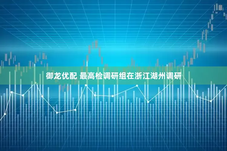御龙优配 最高检调研组在浙江湖州调研