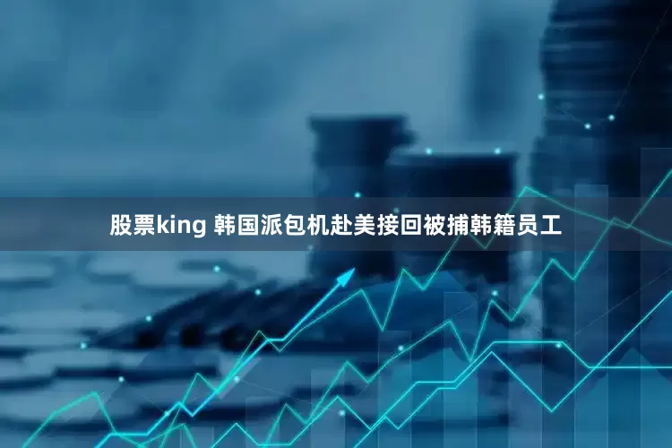 股票king 韩国派包机赴美接回被捕韩籍员工