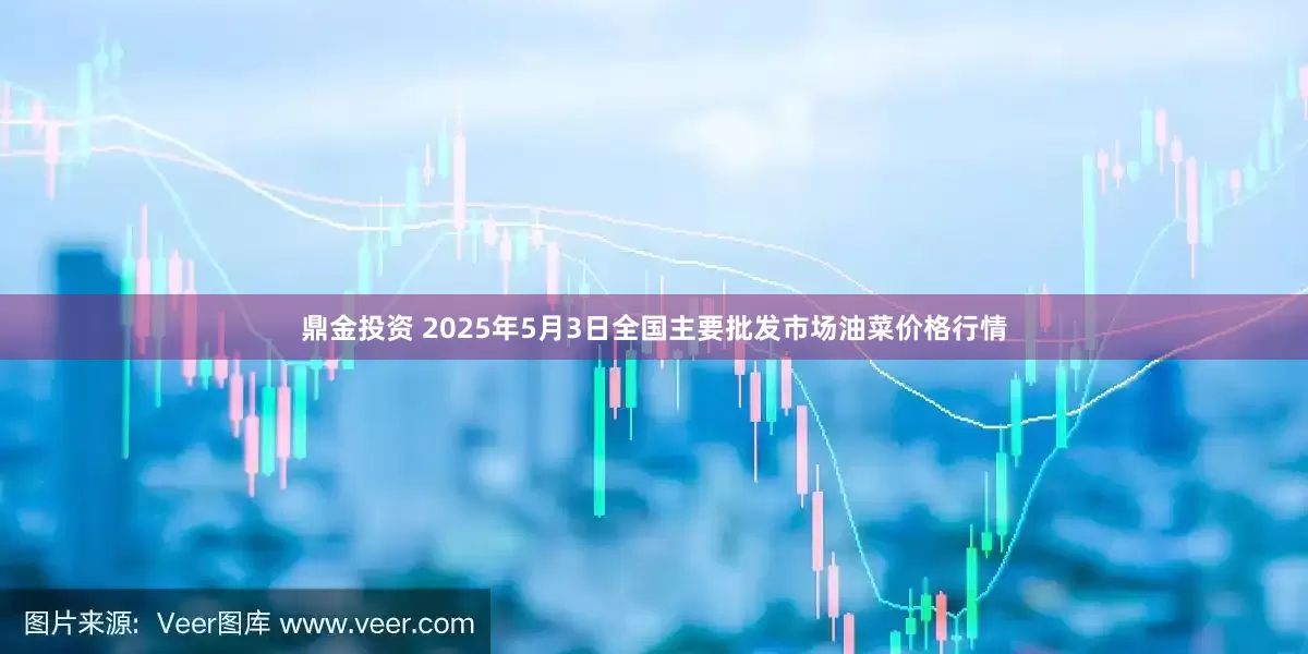 鼎金投资 2025年5月3日全国主要批发市场油菜价格行情