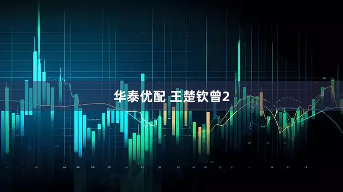华泰优配 王楚钦曾2