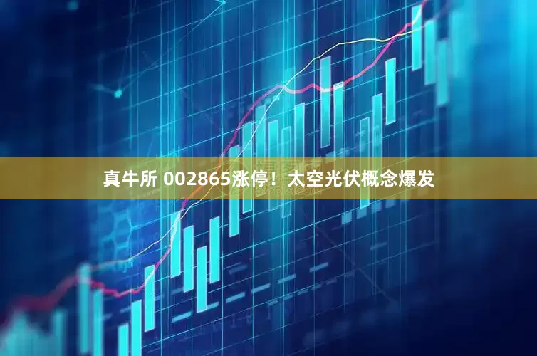 真牛所 002865涨停！太空光伏概念爆发