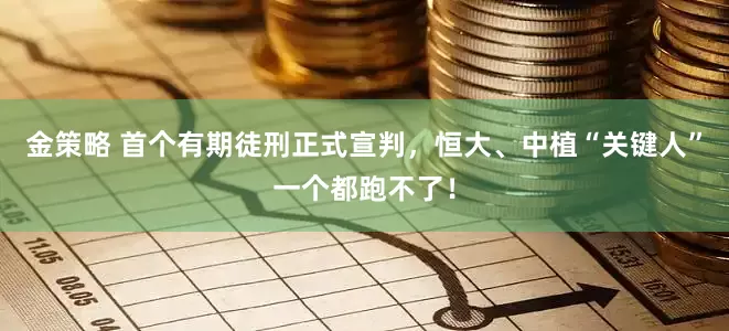 金策略 首个有期徒刑正式宣判，恒大、中植“关键人”一个都跑不了！