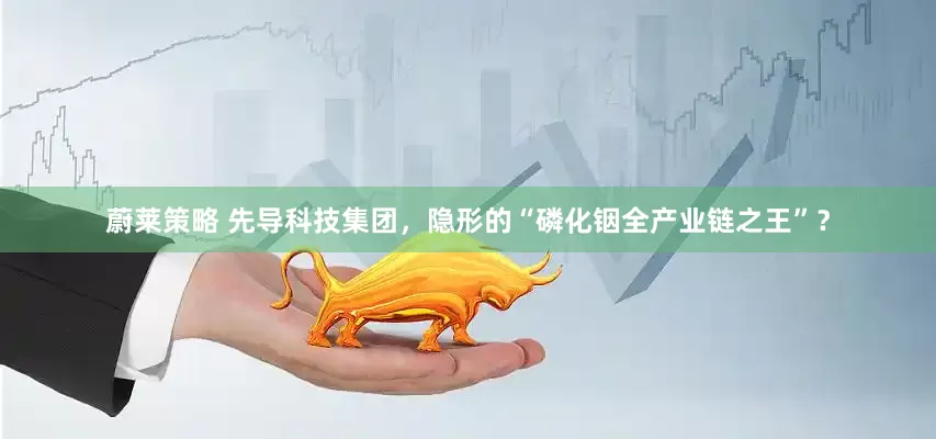 蔚莱策略 先导科技集团，隐形的“磷化铟全产业链之王”？